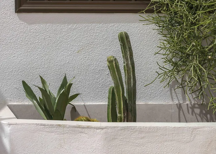 Ocean View Gigantes - Agnes 公寓